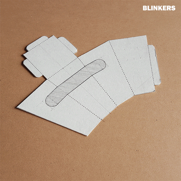 Blinkers