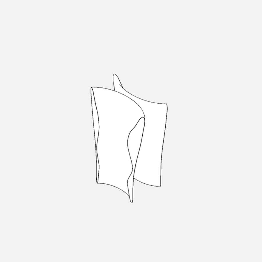Zaha Hadid × Roberto Burle Marx, step 3