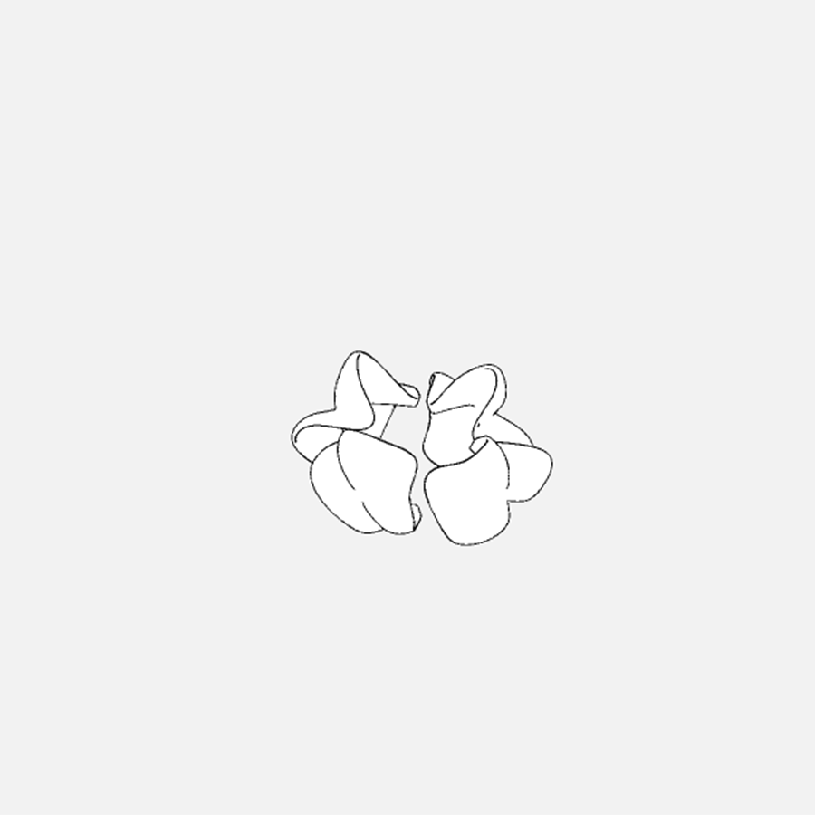 Zaha Hadid × Roberto Burle Marx, step 4