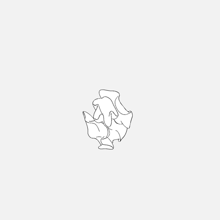 Zaha Hadid × Roberto Burle Marx, step 6