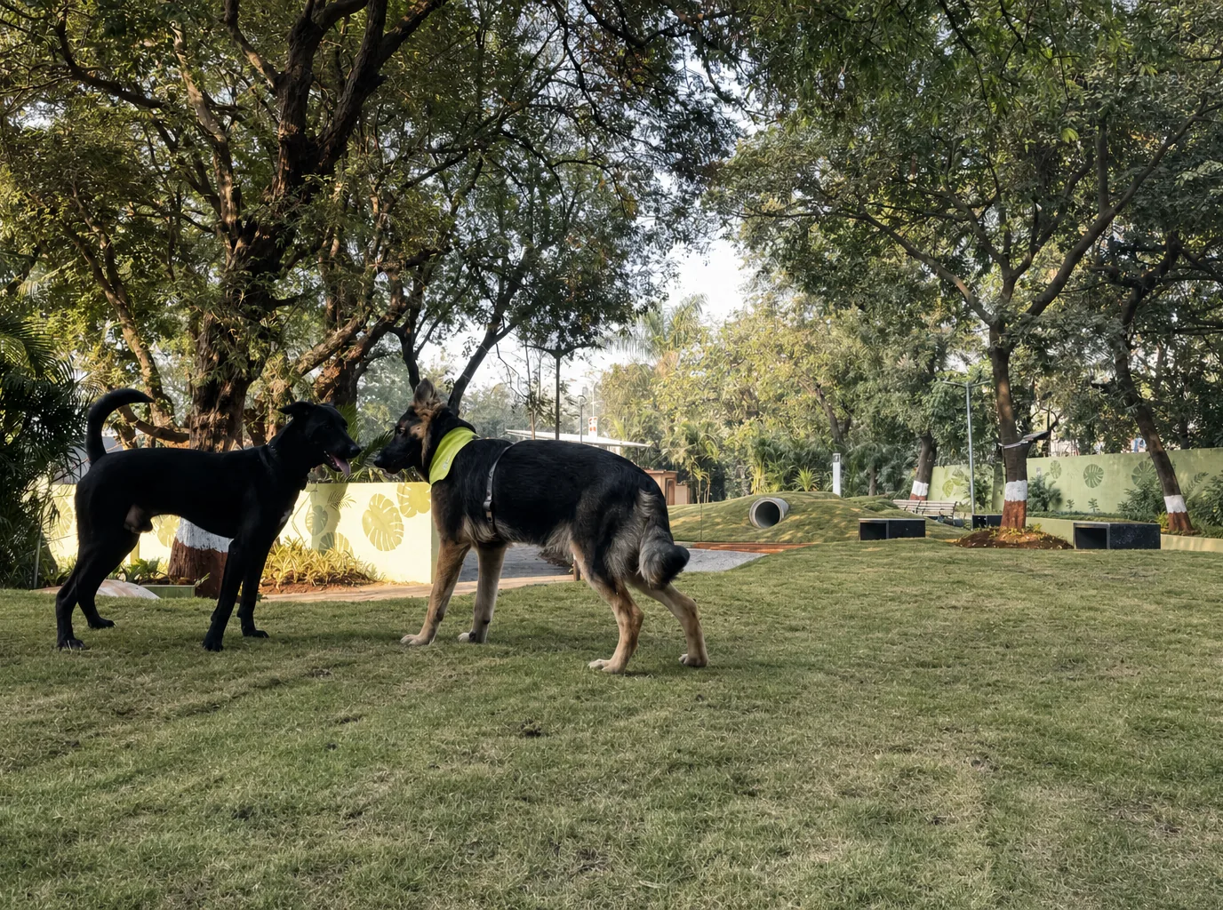 Pet Park 2