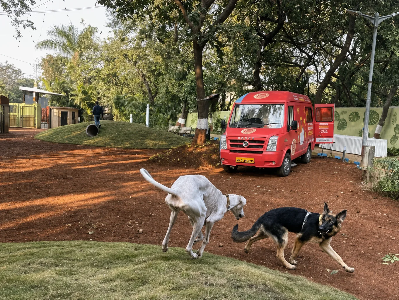 Pet Park 3